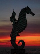 412  seahorse monument.JPG